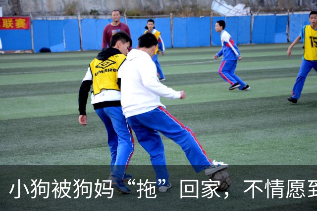 小狗被狗妈“拖”回家，不情愿到连爪子都在控诉：我还要玩！